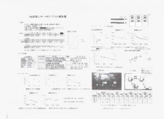 KT系列球化剂使用报告书（日本）